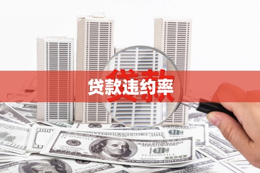 洪洞贷款违约率