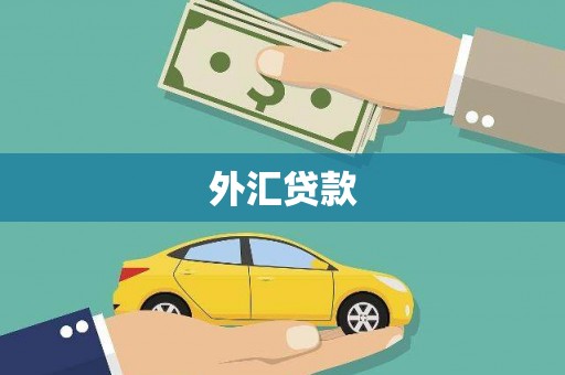 洪洞外汇贷款