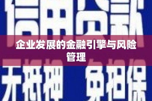 洪洞企业发展的金融引擎与风险管理