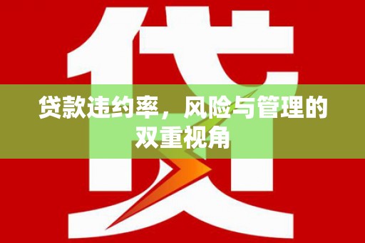 洪洞贷款违约率，风险与管理的双重视角