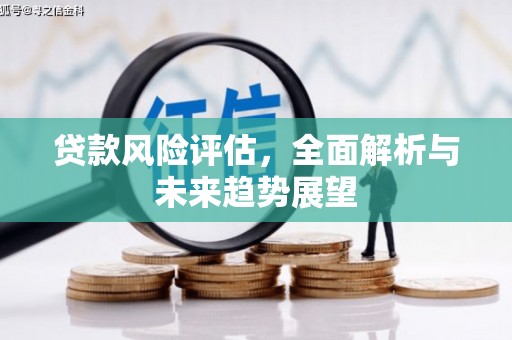 洪洞贷款风险评估，全面解析与未来趋势展望