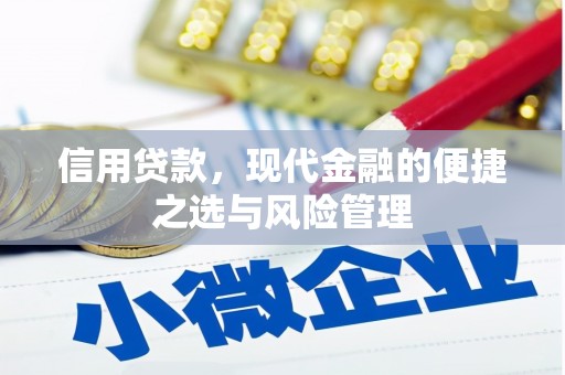 洪洞信用贷款，现代金融的便捷之选与风险管理
