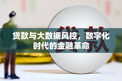 洪洞贷款与大数据风控，数字化时代的金融革命