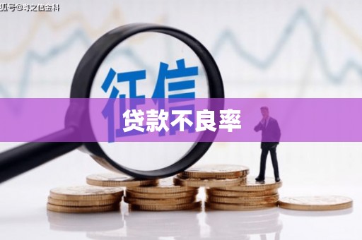 洪洞贷款不良率