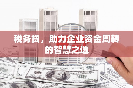 洪洞税务贷，助力企业资金周转的智慧之选