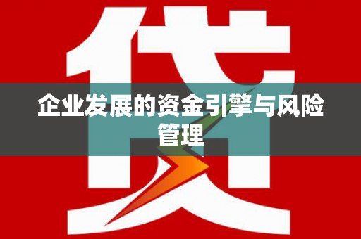 洪洞企业发展的资金引擎与风险管理