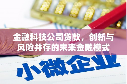 洪洞金融科技公司贷款，创新与风险并存的未来金融模式