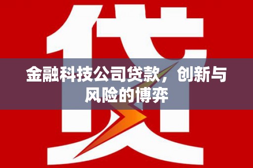 洪洞金融科技公司贷款，创新与风险的博弈