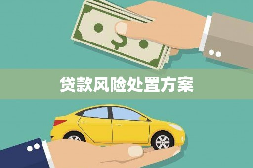 洪洞贷款风险处置方案