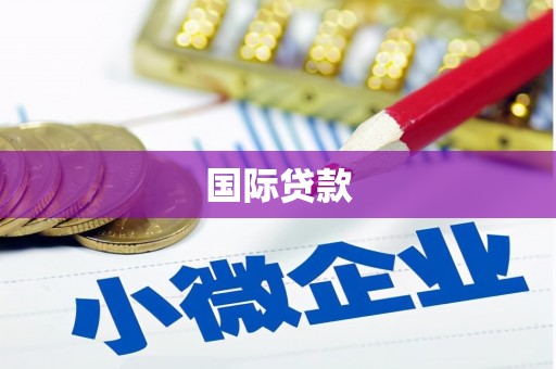 洪洞国际贷款