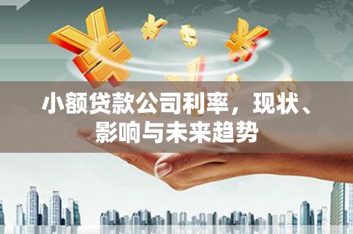 洪洞小额贷款公司利率，现状、影响与未来趋势
