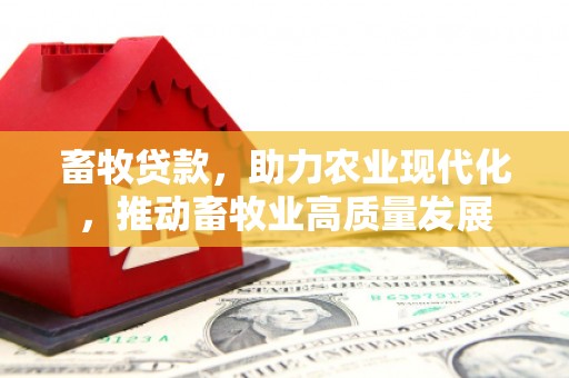 洪洞畜牧贷款，助力农业现代化，推动畜牧业高质量发展