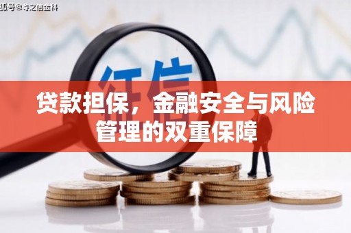 洪洞贷款担保，金融安全与风险管理的双重保障