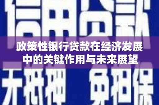 洪洞政策性银行贷款在经济发展中的关键作用与未来展望