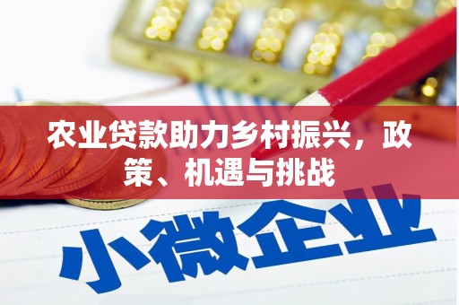 洪洞农业贷款助力乡村振兴，政策、机遇与挑战