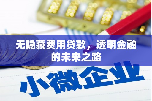 洪洞无隐藏费用贷款，透明金融的未来之路