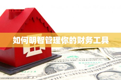 洪洞如何明智管理你的财务工具