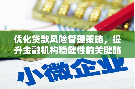 洪洞优化贷款风险管理策略，提升金融机构稳健性的关键路径
