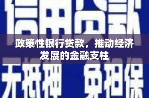 洪洞政策性银行贷款，推动经济发展的金融支柱