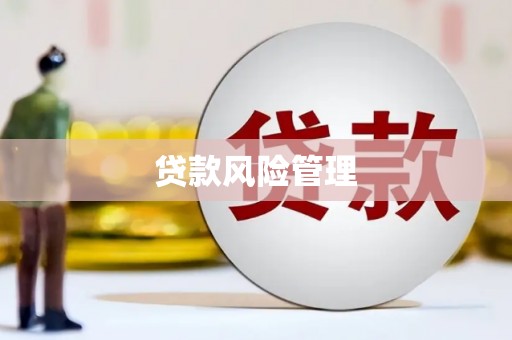 洪洞贷款风险管理