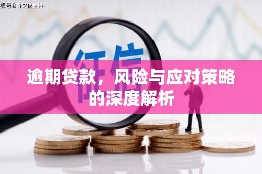 洪洞逾期贷款，风险与应对策略的深度解析