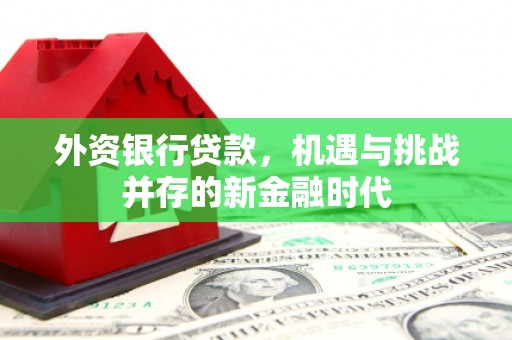 洪洞外资银行贷款，机遇与挑战并存的新金融时代