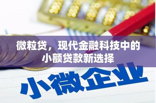 洪洞微粒贷，现代金融科技中的小额贷款新选择