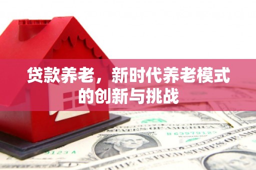 洪洞贷款养老，新时代养老模式的创新与挑战