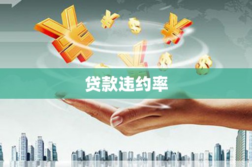 洪洞贷款违约率