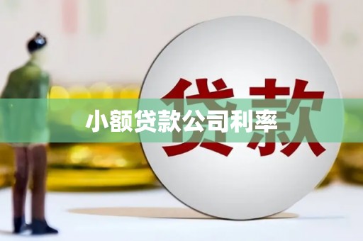 洪洞小额贷款公司利率