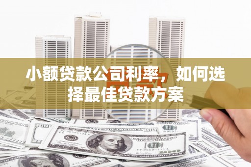 洪洞小额贷款公司利率，如何选择最佳贷款方案