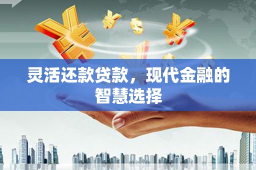 洪洞灵活还款贷款，现代金融的智慧选择