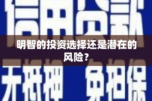 洪洞明智的投资选择还是潜在的风险？
