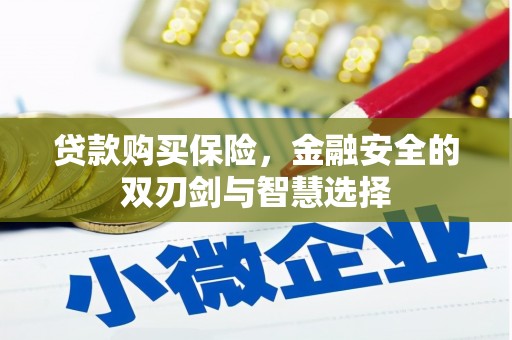 洪洞贷款购买保险，金融安全的双刃剑与智慧选择