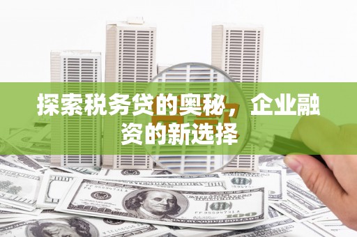 洪洞探索税务贷的奥秘，企业融资的新选择