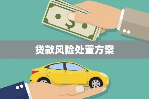 洪洞贷款风险处置方案