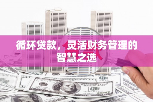 洪洞循环贷款，灵活财务管理的智慧之选