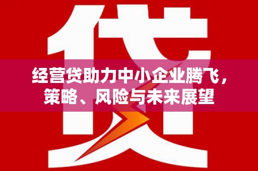 洪洞经营贷助力中小企业腾飞，策略、风险与未来展望