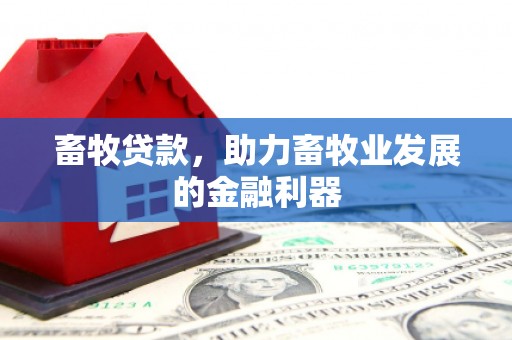洪洞畜牧贷款，助力畜牧业发展的金融利器