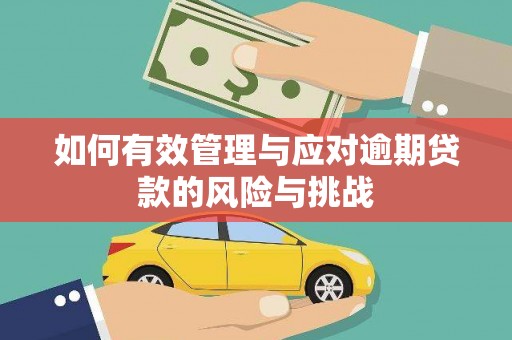 洪洞如何有效管理与应对逾期贷款的风险与挑战