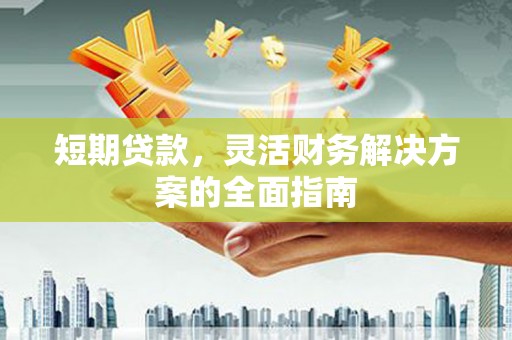 洪洞短期贷款，灵活财务解决方案的全面指南