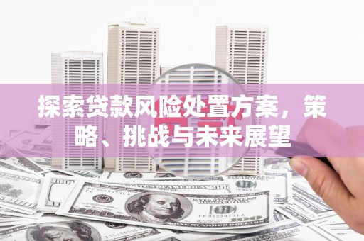 洪洞探索贷款风险处置方案，策略、挑战与未来展望