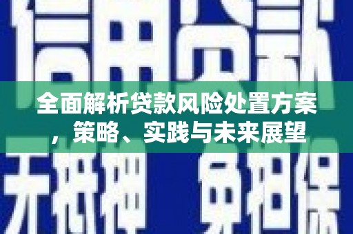 洪洞全面解析贷款风险处置方案，策略、实践与未来展望