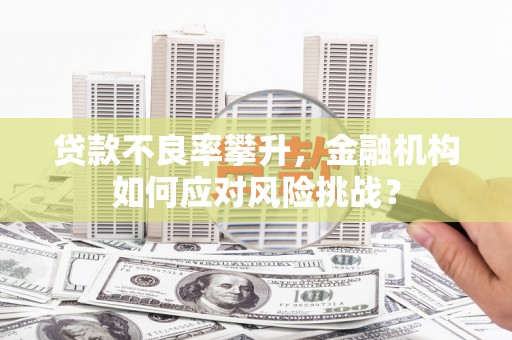 洪洞贷款不良率攀升，金融机构如何应对风险挑战？