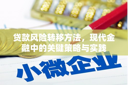 洪洞贷款风险转移方法，现代金融中的关键策略与实践