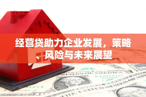 洪洞经营贷助力企业发展，策略、风险与未来展望