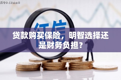 洪洞贷款购买保险，明智选择还是财务负担？