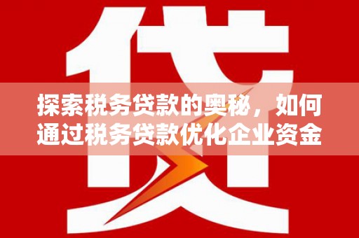 洪洞探索税务贷款的奥秘，如何通过税务贷款优化企业资金流