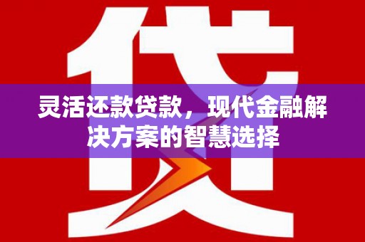 洪洞灵活还款贷款，现代金融解决方案的智慧选择