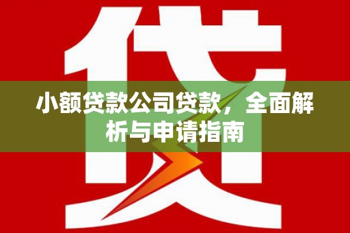洪洞小额贷款公司贷款，全面解析与申请指南